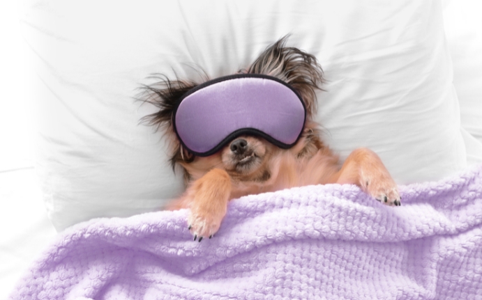 Sleeping Mask | Singlife SG