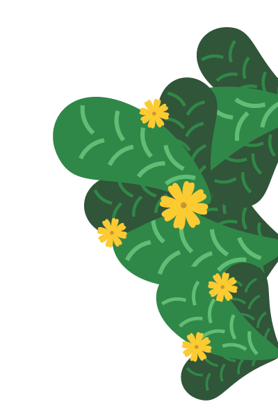 custom background right